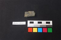陶片藏品圖，第1張