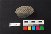 陶片藏品圖，第1張