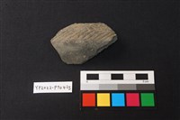 陶片藏品圖，第2張