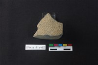 陶片藏品圖，第1張