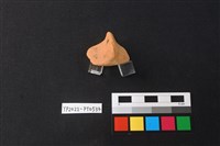 陶片藏品圖，第3張