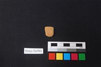陶片藏品圖，第1張