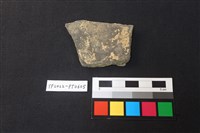 陶片藏品圖，第2張