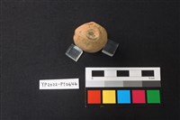 疑似陶偶殘件藏品圖，第3張