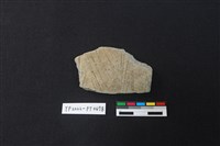 陶片藏品圖，第1張