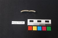 陶環藏品圖，第2張