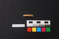 陶環藏品圖，第1張