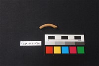 陶環藏品圖，第2張