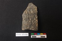 陶片藏品圖，第1張