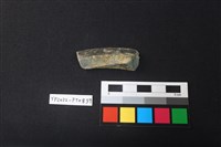 陶片藏品圖，第2張