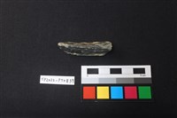 陶片藏品圖，第3張