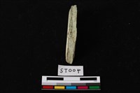 玉錛藏品圖，第1張