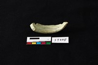 玉環藏品圖，第1張