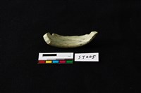 玉環藏品圖，第2張