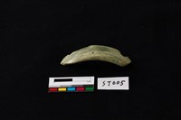 玉環藏品圖，第4張