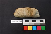 磨製石器殘件藏品圖，第1張