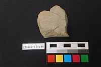 磨製石斧藏品圖，第2張