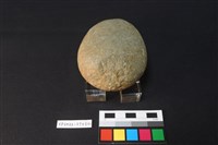 石錘藏品圖，第1張