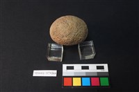 石錘藏品圖，第4張