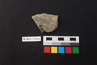 陶片藏品圖，第2張
