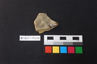 陶片藏品圖，第2張