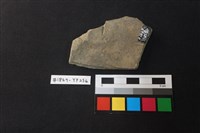 陶片藏品圖，第2張