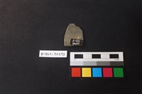 陶片藏品圖，第2張