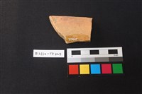 陶片藏品圖，第2張