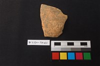 陶片藏品圖，第1張