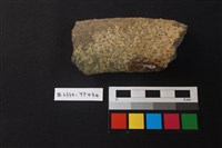 陶片藏品圖，第2張