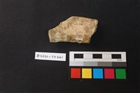 陶片藏品圖，第2張