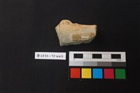 陶片藏品圖，第2張