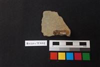 陶片藏品圖，第2張