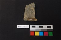 陶片藏品圖，第2張