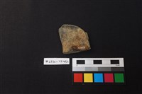 陶片藏品圖，第2張