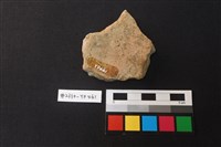 陶片藏品圖，第2張