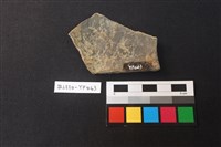 陶片藏品圖，第2張