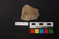 陶片藏品圖，第1張