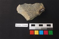 陶片藏品圖，第2張