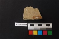 陶片藏品圖，第2張