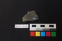 陶片藏品圖，第2張