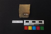 陶片藏品圖，第2張