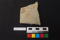 陶片藏品圖，第1張