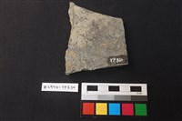 陶片藏品圖，第2張