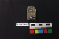 陶片藏品圖，第2張