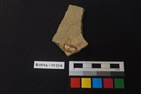 陶片藏品圖，第2張