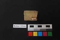 陶片藏品圖，第2張