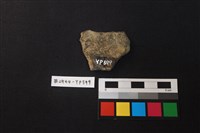 陶片藏品圖，第2張