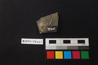 陶片藏品圖，第2張