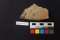 陶片藏品圖，第2張